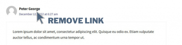 How to Remove Comment Author Link in WordPress - wpframer